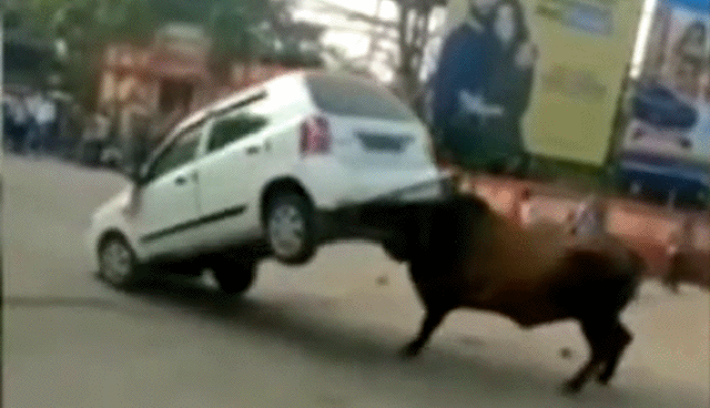 Подборка автомобильных трюков и фейлов (12 гифок)