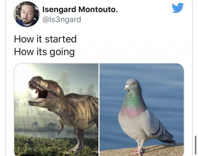 Новый флешмоб How it started/How it's going (15 фото)