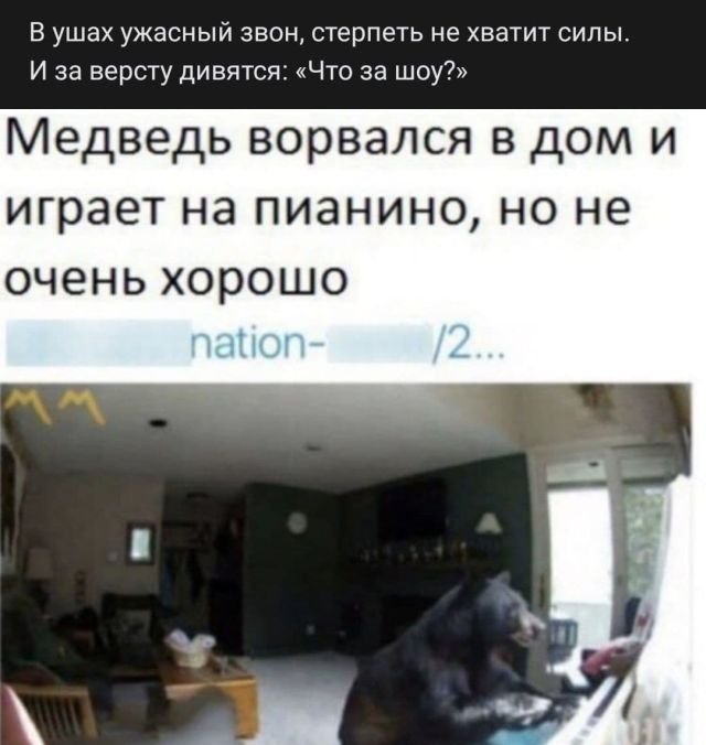 Рифмы из социальных сетей (15 фото)