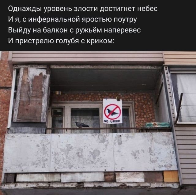 Рифмы из социальных сетей (15 фото)