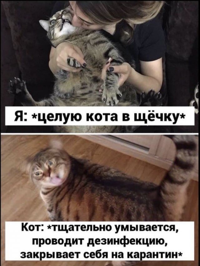 Мемы и картинки о коронавирусе (12 фото) Мемы и картинки о коронавирусе (12 фото)