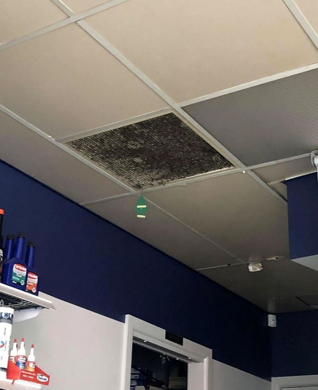 Люди, которые так решили поставленную задачу, что не знаешь – смеяться или плакать (19 фото) Люди, которые так решили поставленную задачу, что не знаешь – смеяться или плакать (19 фото)