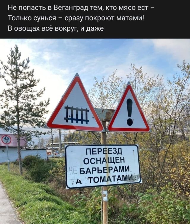 Рифмы из социальных сетей (15 фото)