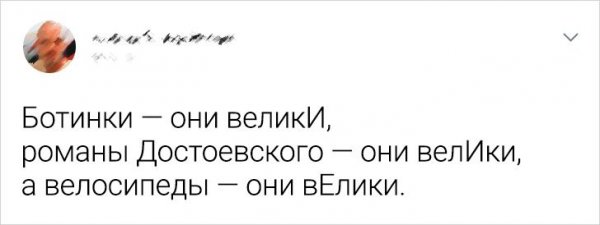 Немного юмора о русском языке (14 фото)