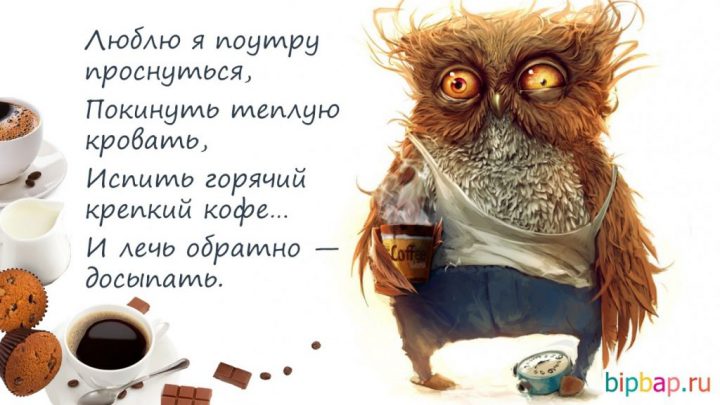 2025 Юмор Картинки
