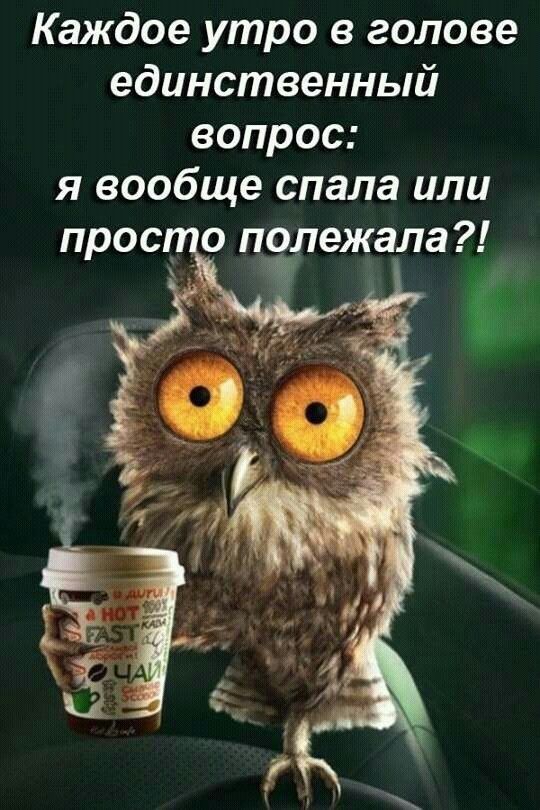 Каждое утро в голове единственный вопрос: я вообще спала или просто лежала?!