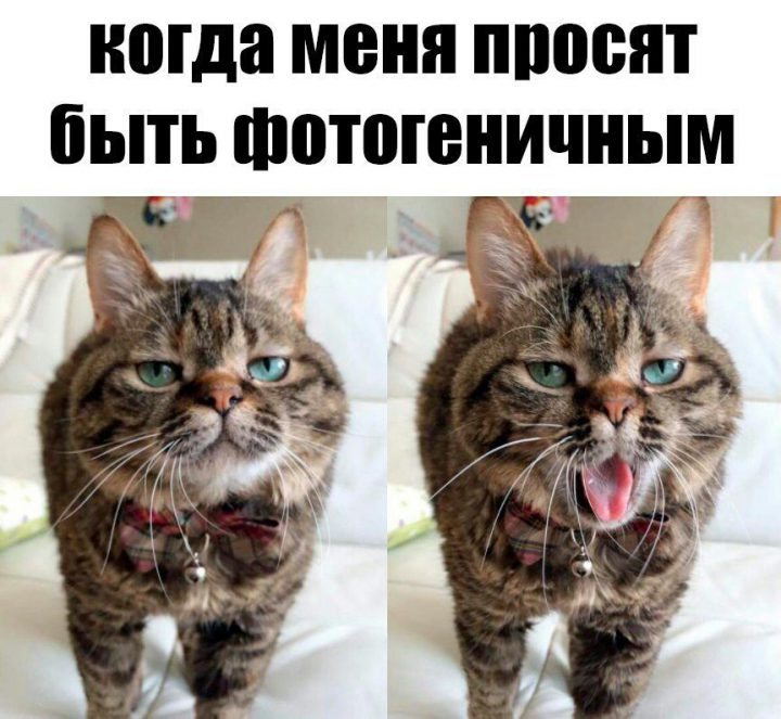 Когда меня просят быть фотогеничным.