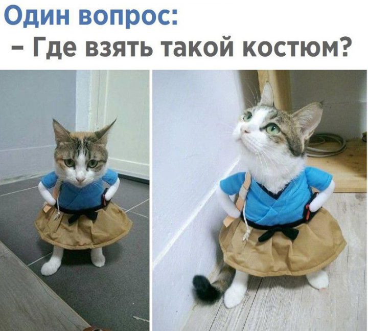 Один вопрос: -Где взять такой костюм?