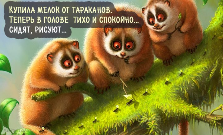 Купила мелок от тараканов, теперь в голове тихо и спокойно... сидят, рисуют.