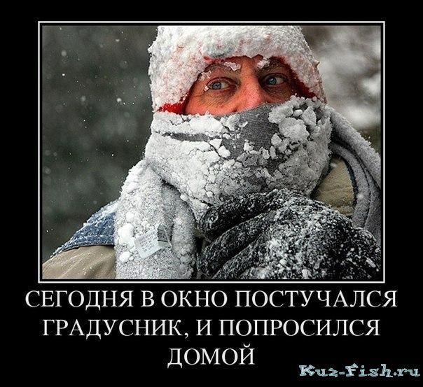 Сегодня в окно постучался градусник, и попросился домой.