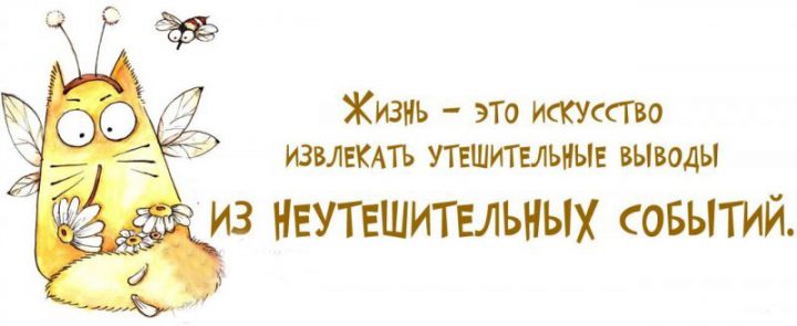 Жизнь- это искусство извлекать утешительные выводы из неутешительных событий.