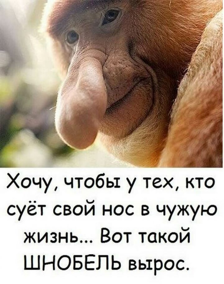 Хочу, чтобы у тех, кто сует свой нос в чужую жизнь... Вот такой шнобель вырос.