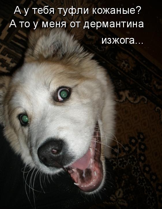 А у тебя туфли кожаные? А то у меня от дермантина изжога...