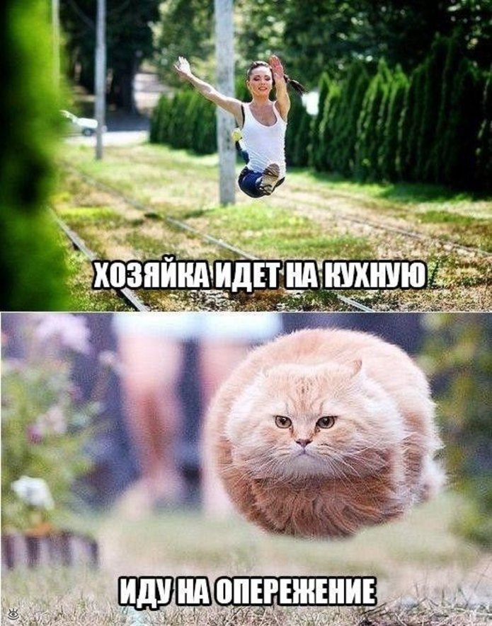 Хозяйка идет на кухню-иду на опережение.