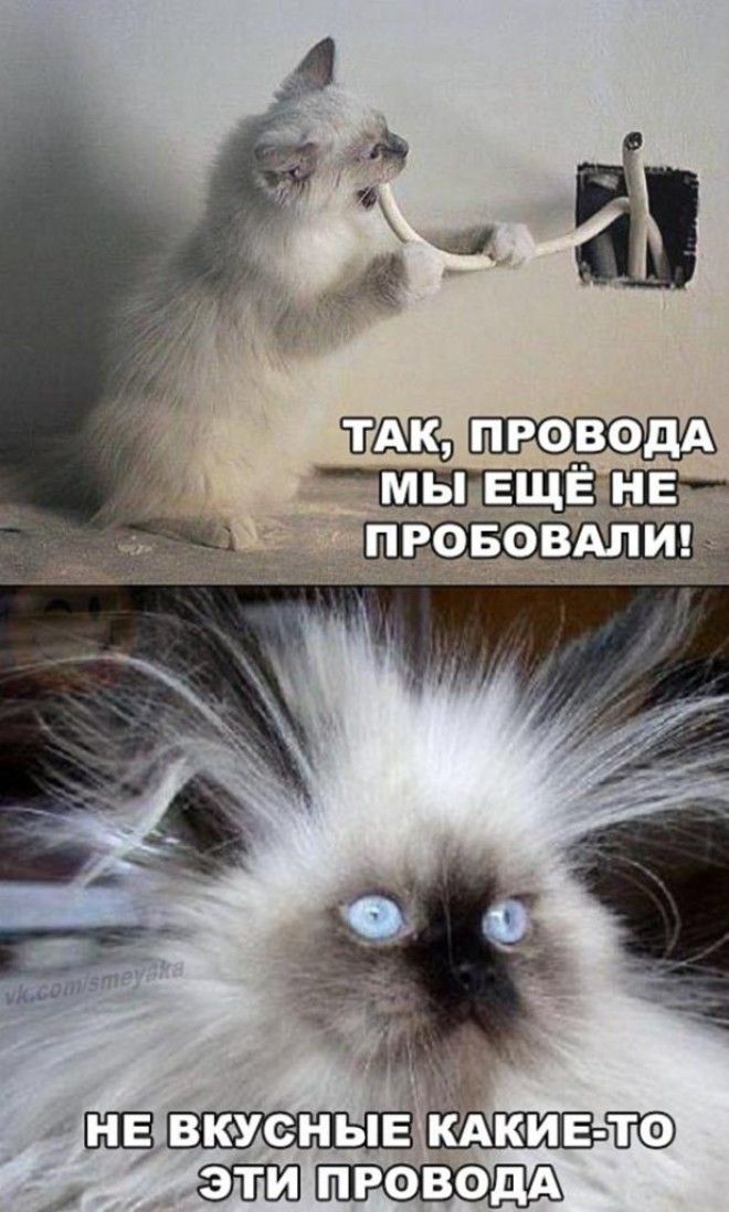Так, провода мы еще не пробовали!