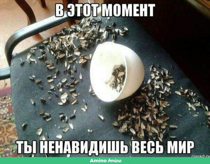 В этот момент ны ненавидишь весь мир.