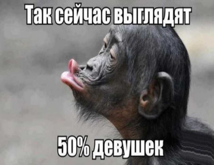 Так сейчас выглядит 50% девушек.