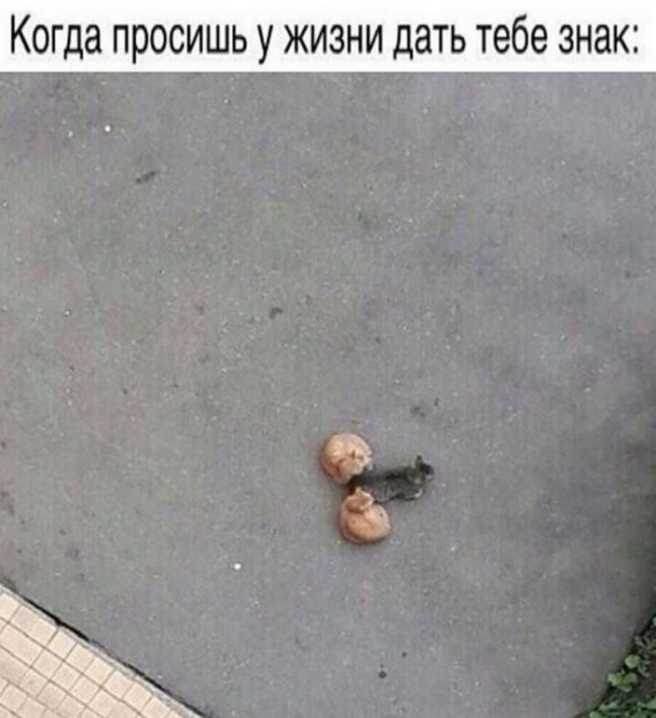 Когда просишь у жизни дать тебе знак.