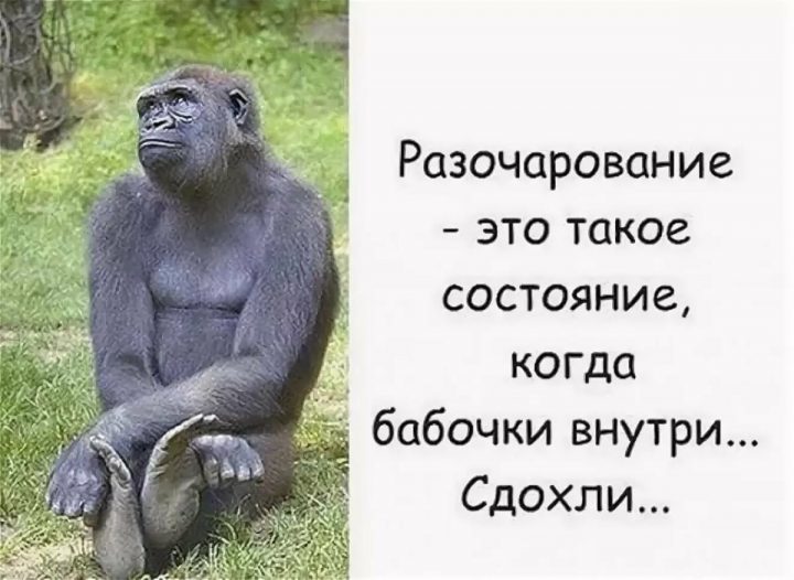 Разочарование-это такое состояние, когда бабочки внутри... Сдохли...