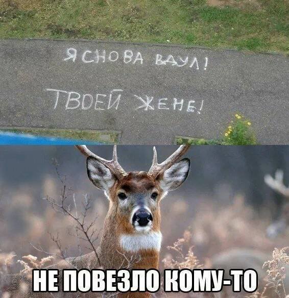 Я снова вдул твоей жене! Не повезло кому-то.