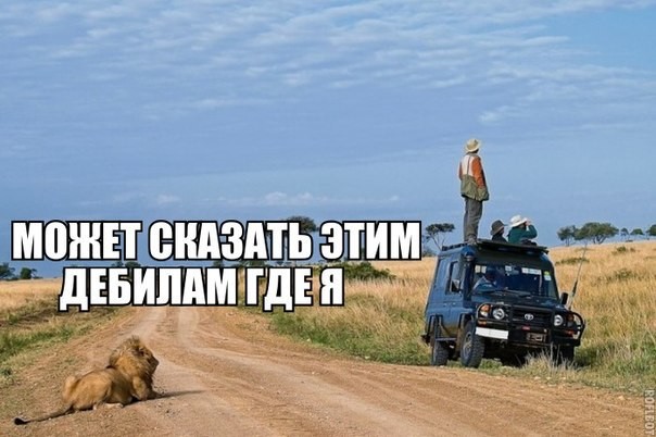 Может сказать этим дебилам где я.