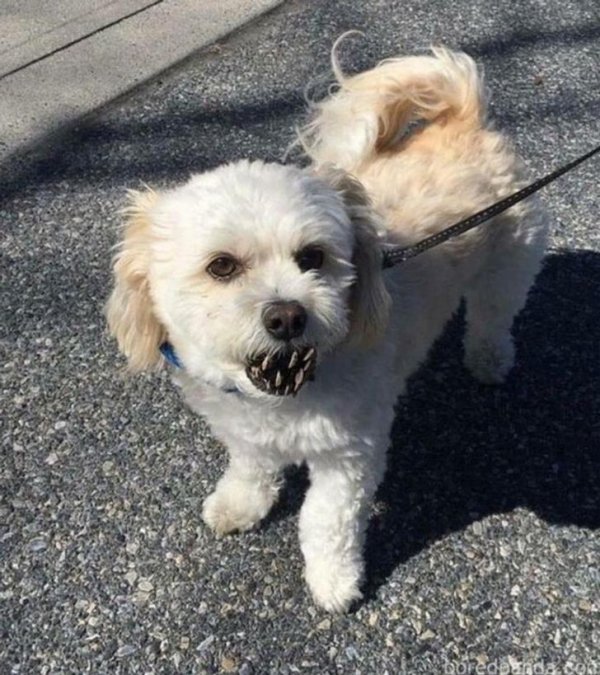 Подборка фотографий из серии "показалось" (17 фото)