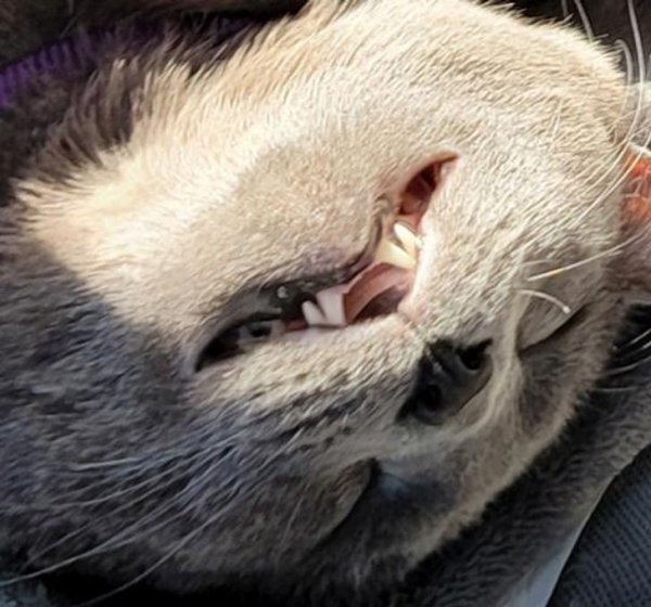 Подборка фотографий из серии "показалось" (17 фото)