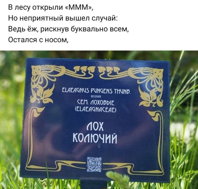 Рифмы из социальных сетей (15 фото)