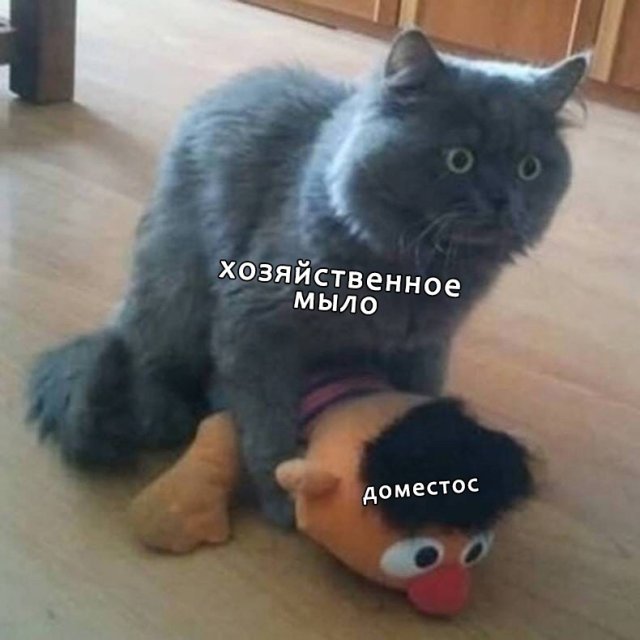 Шутки и мемы для пенсионеров (15 фото)