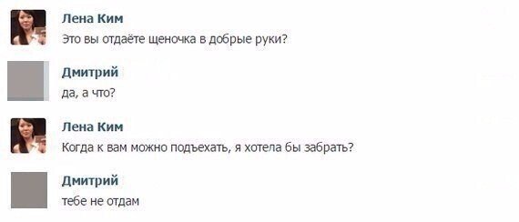 Смешные комментарии к постам в социальных сетях (15 фото)