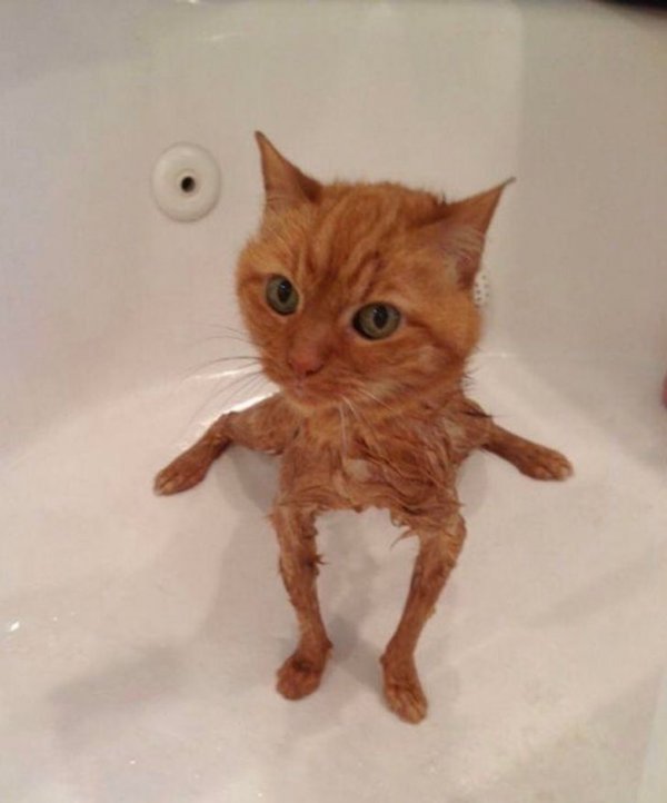 Подборка фотографий из серии "показалось" (17 фото)