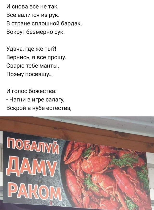 Рифмы из социальных сетей (15 фото)