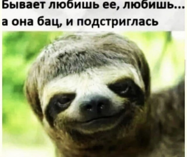Лучшие шутки и мемы из Сети (15 фото) Лучшие шутки и мемы из Сети (15 фото)