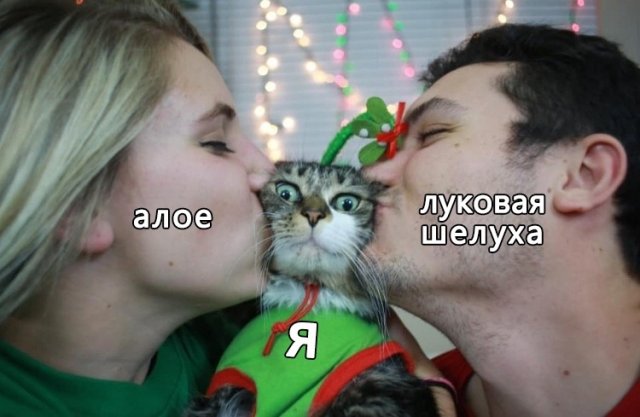 Шутки и мемы для пенсионеров (15 фото)