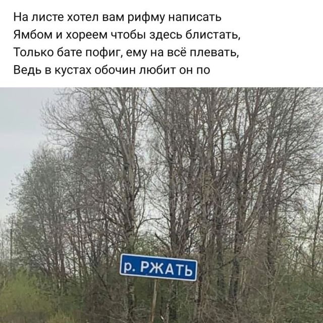 Рифмы из социальных сетей (15 фото)