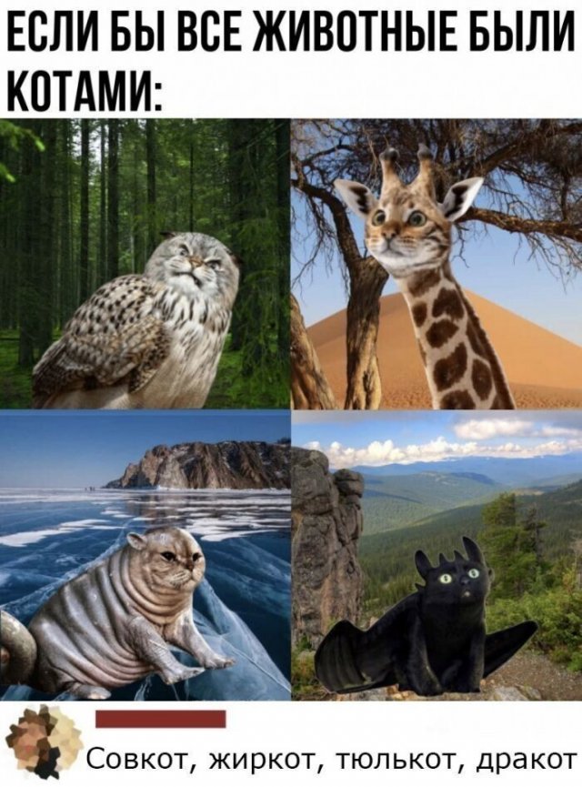 Смешные комментарии к постам в социальных сетях (15 фото)