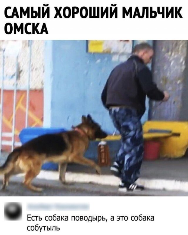 Смешные комментарии к постам в социальных сетях (15 фото)