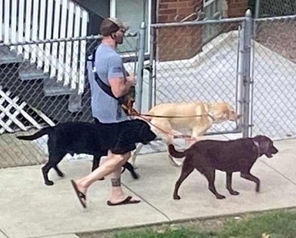 Подборка фотографий из серии "показалось" (17 фото)