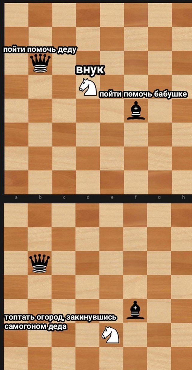 Шутки и мемы для пенсионеров (15 фото)