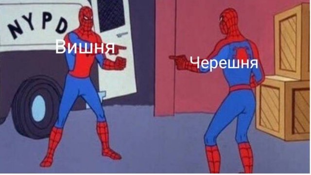 Шутки и мемы для пенсионеров (15 фото)