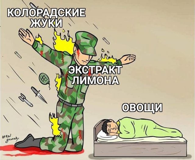 Шутки и мемы для пенсионеров (15 фото)