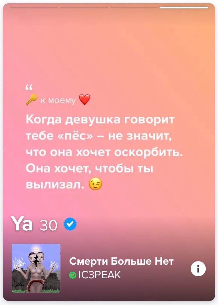 "Буду называть тебя псом", или как молоденькие девушки знакомятся в интернете (17 фото)