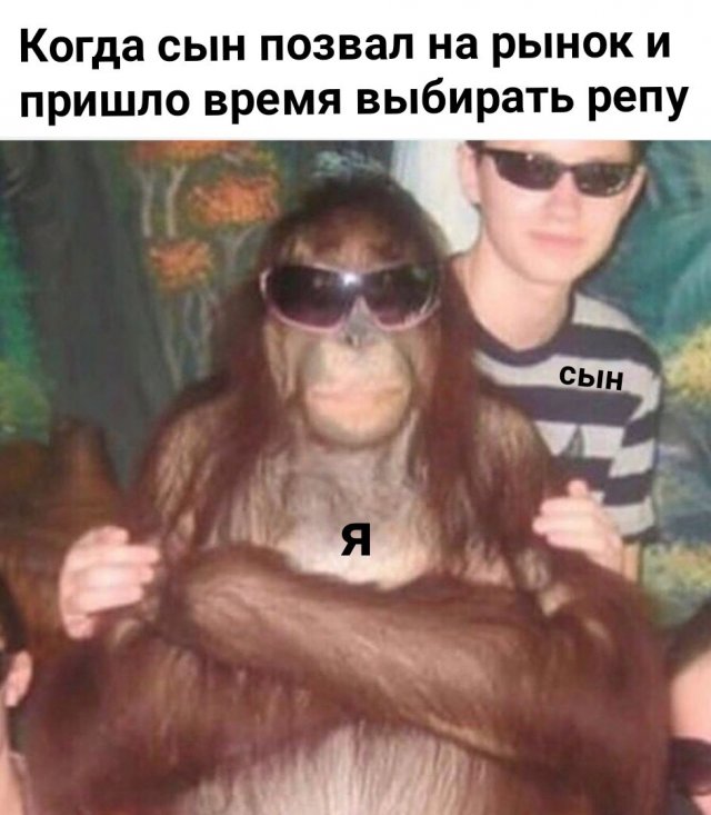 Шутки и мемы для пенсионеров (15 фото)