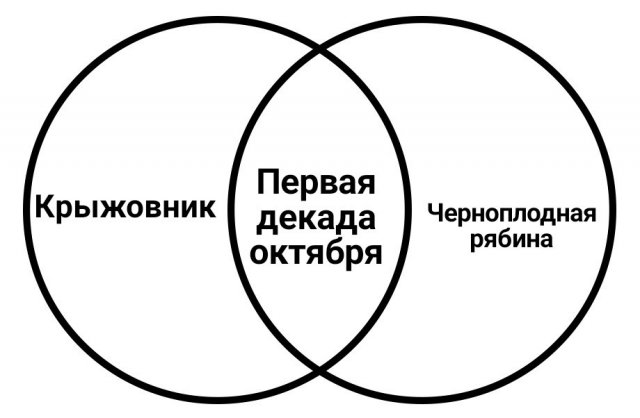 Шутки и мемы для пенсионеров (15 фото)