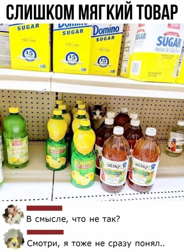 Смешные комментарии к постам из социальных сетей (15 фото)