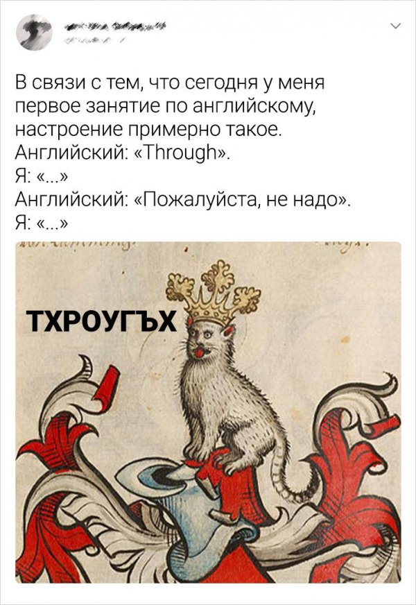 Подборка забавных твитов об изучении иностранных языков (19 фото)