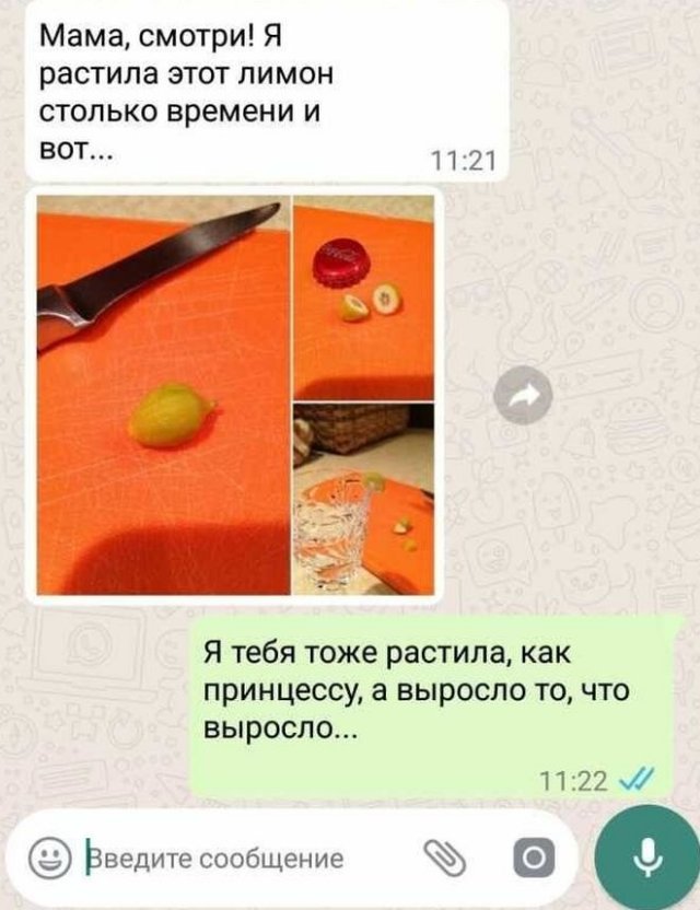 С юмором об общении детей с родителями (15 фото)