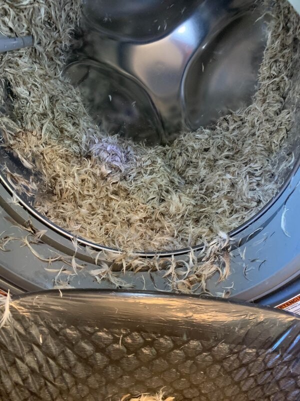 Люди, к которым судьба повернулась задом (24 фото) Люди, к которым судьба повернулась задом (24 фото)