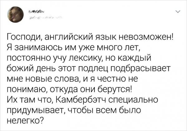 Подборка забавных твитов об изучении иностранных языков (19 фото)