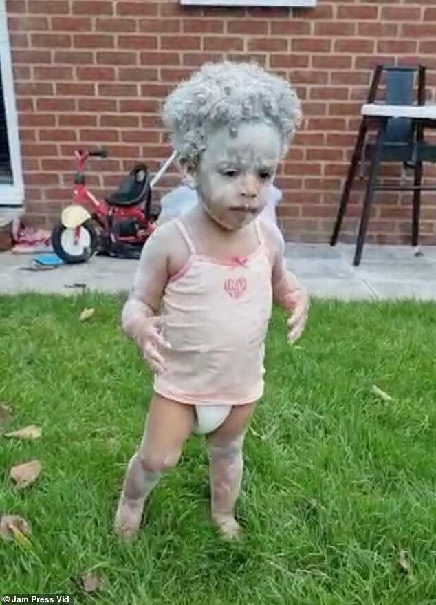 Я же только на минутку вышел! Отец трех дочерей упустил момент, когда они нашли пакет с мукой (8 фото + 1 видео)